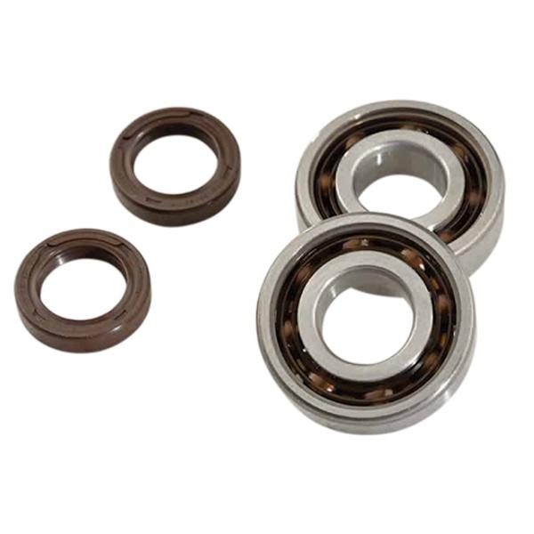 Alkūninio veleno guoliai ir riebokšliai DOPPLER, skirti LUDIX (20x47x14), SKF C4 poliamidas.