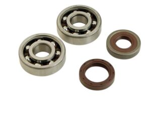 Alkūninio veleno guoliai ir riebokšliai DOPPLER, skirti AM6 ORIGINAL MOUNT (6303 x 2), SKF C3 poliamidas.