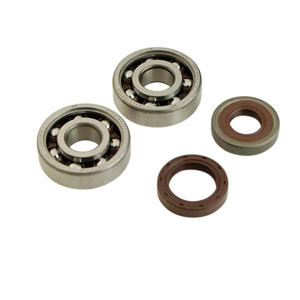 Alkūninio veleno guoliai ir riebokšliai DOPPLER, skirti AM6 ORIGINAL MOUNT (6303 x 2), SKF C3 poliamidas.