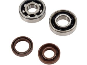 Alkūninio veleno guoliai ir riebokšliai DOPPLER, skirti AM6 DOPPLER ORIGIN (6303 + 6204), FAG C4 poliamidas.