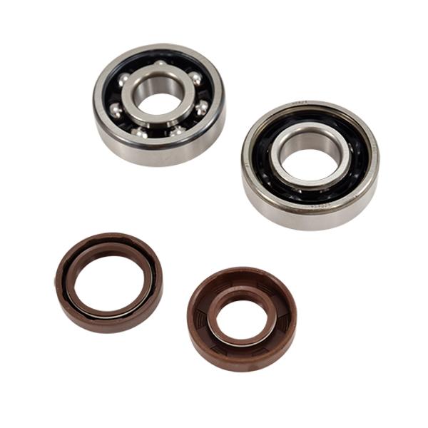 Alkūninio veleno guoliai ir riebokšliai DOPPLER, skirti AM6 DOPPLER ORIGIN (6303 + 6204), FAG C4 poliamidas.