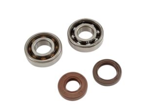 Alkūninio veleno guoliai ir riebokšliai DOPPLER, skirti AM6 ENDURANCE (6204 x2), SKF C4 poliamidas.