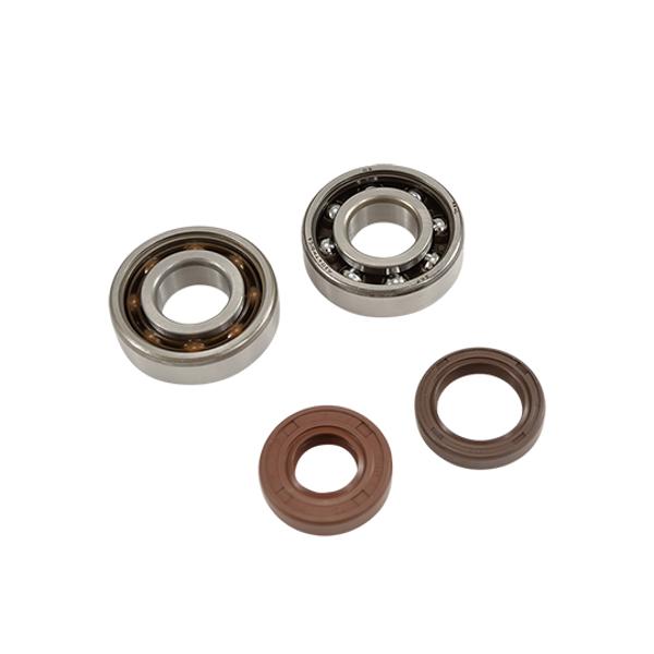 Alkūninio veleno guoliai ir riebokšliai DOPPLER, skirti AM6 ENDURANCE (6204 x2), SKF C4 poliamidas.