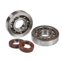 Guolių ir riebokšlių komplektas Piaggio 50 C3 S-Race MVT