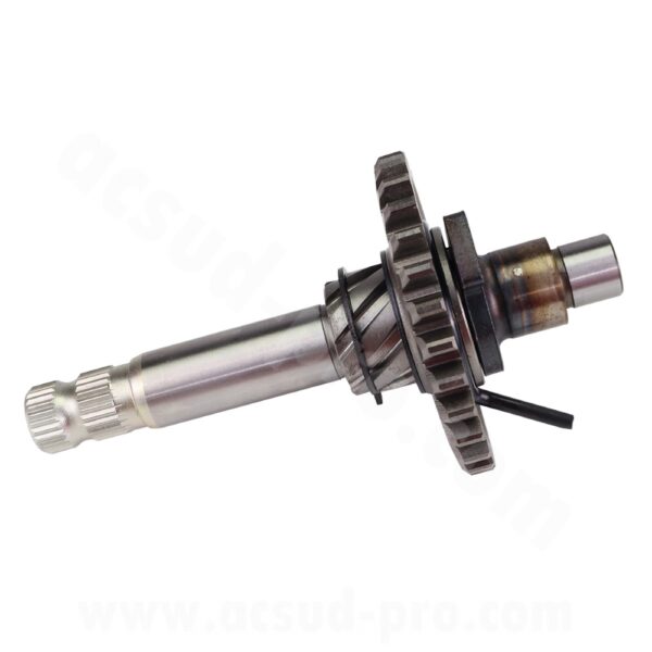 Kickstarterio velenas, tinkantis Derbi 50 Senda, GPR / Gilera 50 SMT, RCR (OEM 1A014510 / 847330)