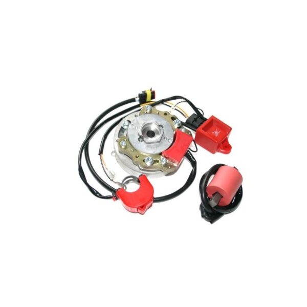 HPI 2 kreivių vidinio rotoriaus uždegimas Minarelli Horizontal ir Vertical varikliams